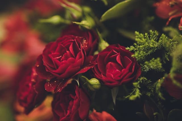 За романтични моменти